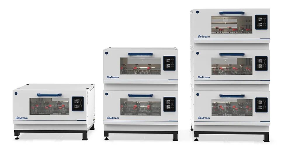 如何在恒温摇床中培养细胞