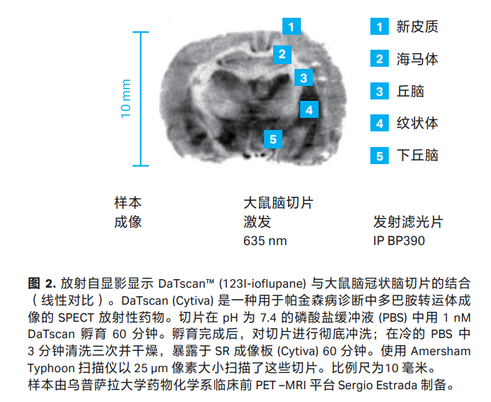 Amersham Typhoon™ 激光扫描成像仪