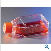 康宁25cm²超低吸附培养瓶 Corning® cell culture Flasks, Ultra-low attachment