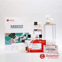 VEGFA/VEGF 即用型免疫组化试剂盒