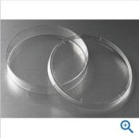 Corning 细胞培养皿 150*25mm 未处理表面，430597