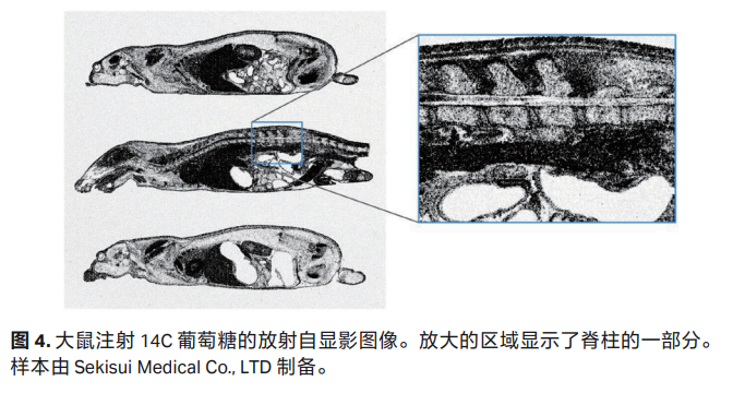 Amersham Typhoon™ 激光扫描成像仪