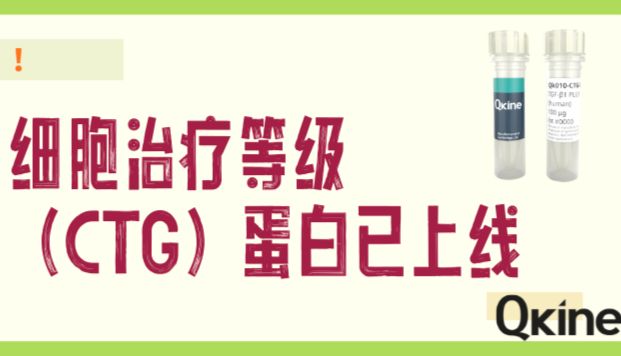 新品发布｜Qkine细胞治疗等级（CTG）蛋白上线！