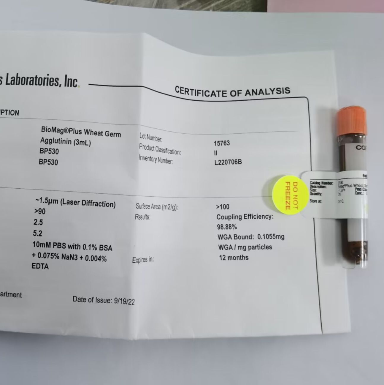 磁珠BioMag®Plus Wheat Germ Agglutinin