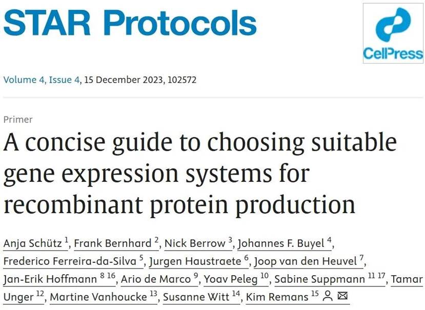 必备指南：蛋白表达系统的选择策略
