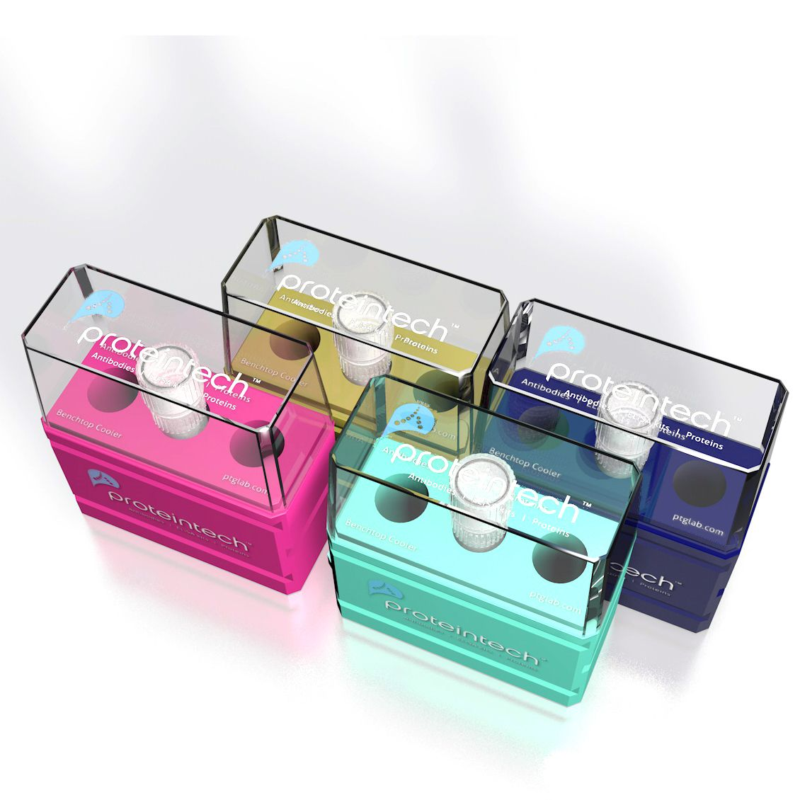 CACNA1S 多克隆抗体 22279-1-AP