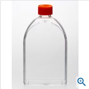 Corning 150c㎡培养瓶 直角斜颈 密封盖 PS（聚苯乙烯）材质 灭菌，430823