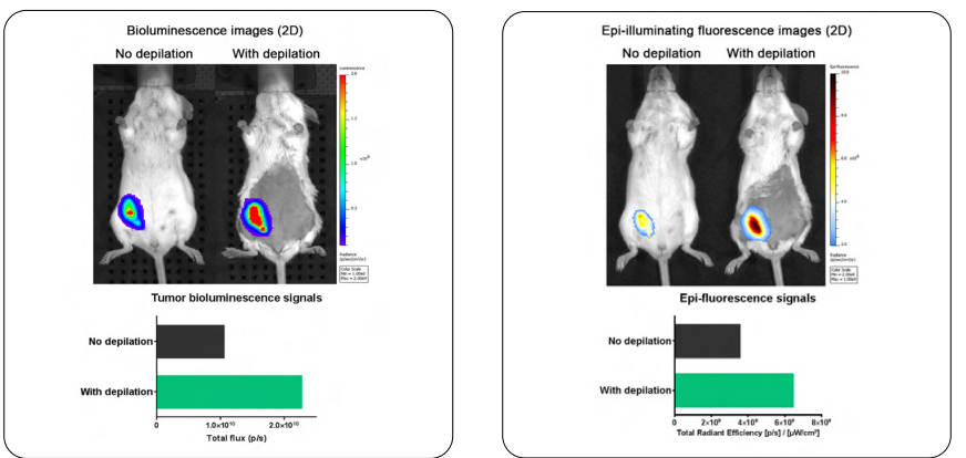 做对了实验,却错在单位上?小动物活体成像4个单位一次讲清