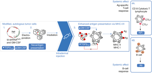 伯乐电转仪+流式细胞仪联合助力Vigil疗法突破实体瘤治疗难点