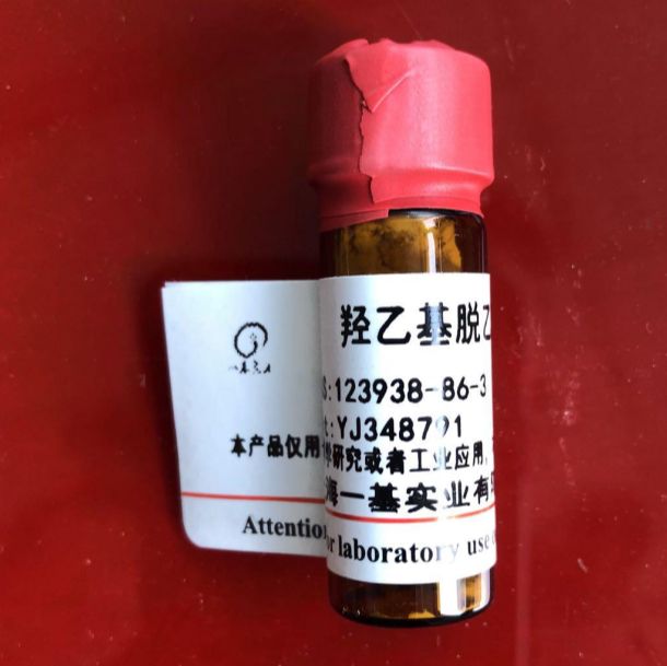 巨噬细胞趋化蛋白 -2(MCP-2)