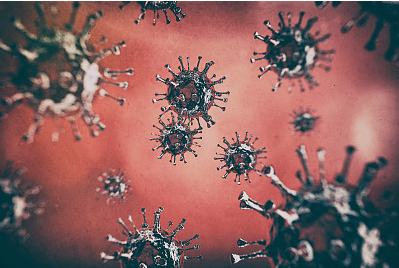 细胞培养失败后如何优化培养体系