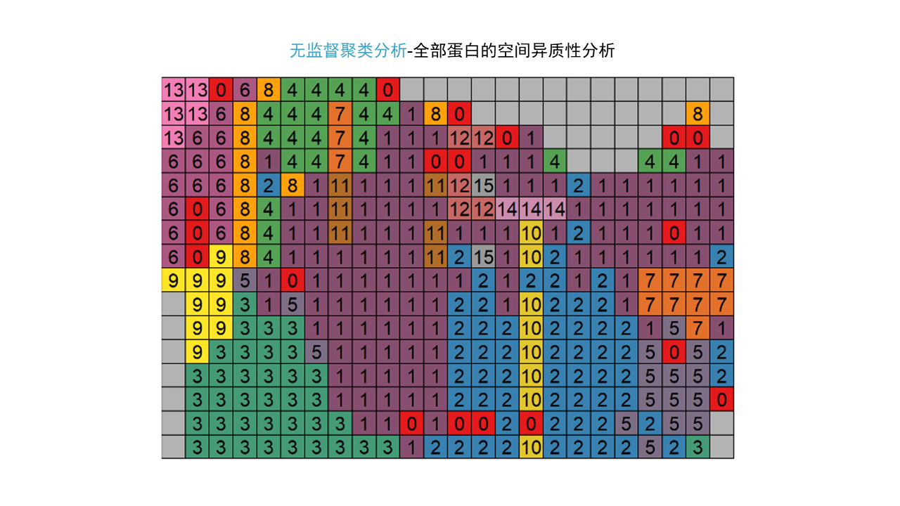 全息空间蛋白质组学