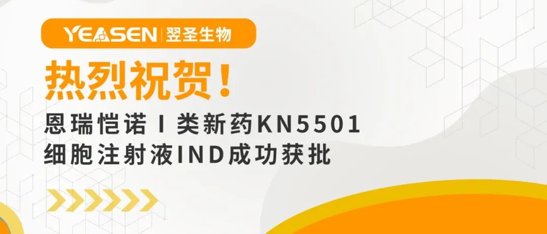 热烈祝贺！恩瑞恺诺Ⅰ类新药KN5501细胞注射液IND成功获批！