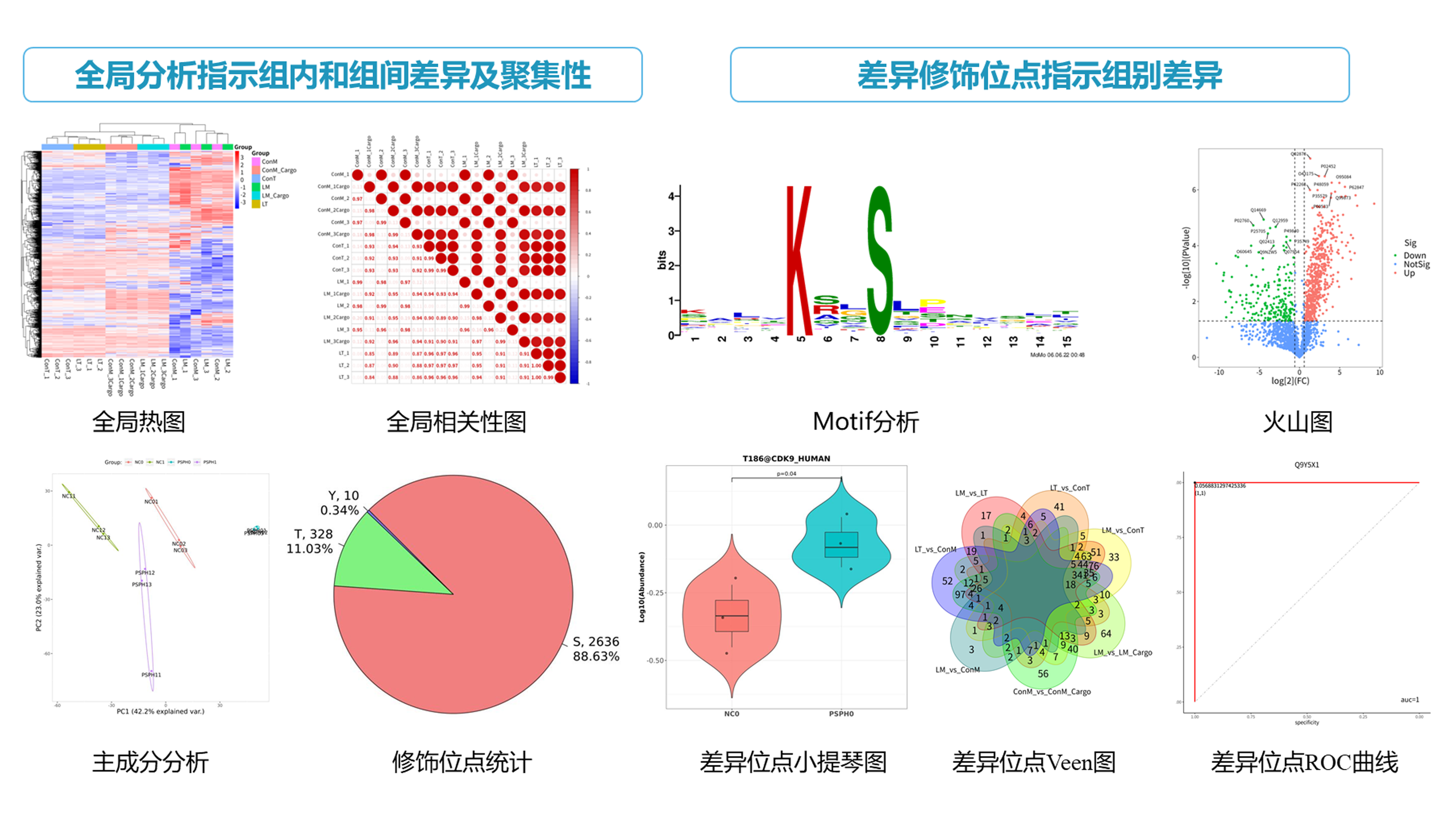 乙酰化蛋白质组学服务