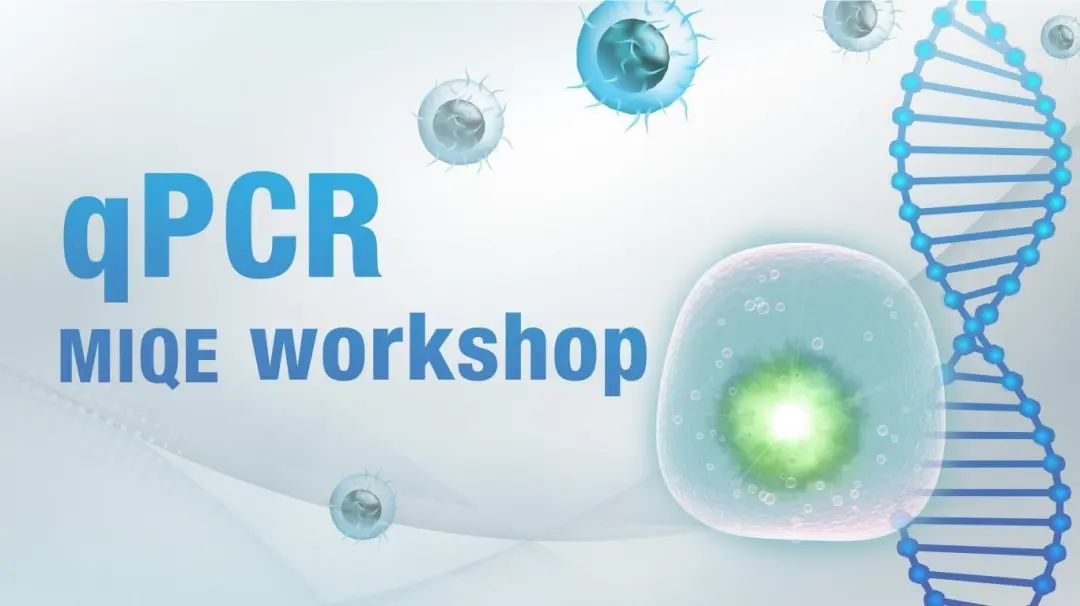 qPCR实验避坑指南：9大常见错误与精准解决方案