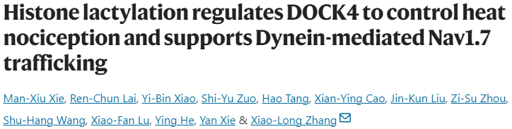 【2025年8月文献战报】Bioss 抗体新增高分文献精彩呈现