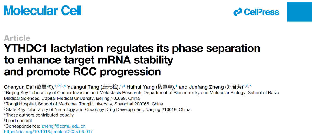 蛋白翻译后修饰怎么选？泛修饰WB来支招！