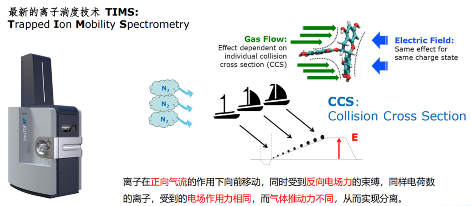 4D定量蛋白质组服务