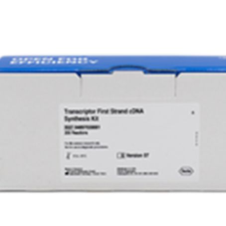 ROCHE/罗氏  4897030001 Transcriptor高保真cDNA合成试剂盒