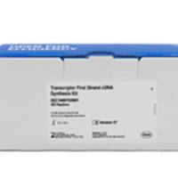 ROCHE/罗氏  4897030001 Transcriptor高保真cDNA合成试剂盒