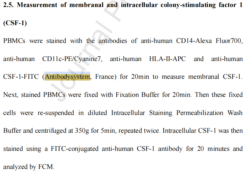 Anti-Human CSF1/M-CSF Antibody