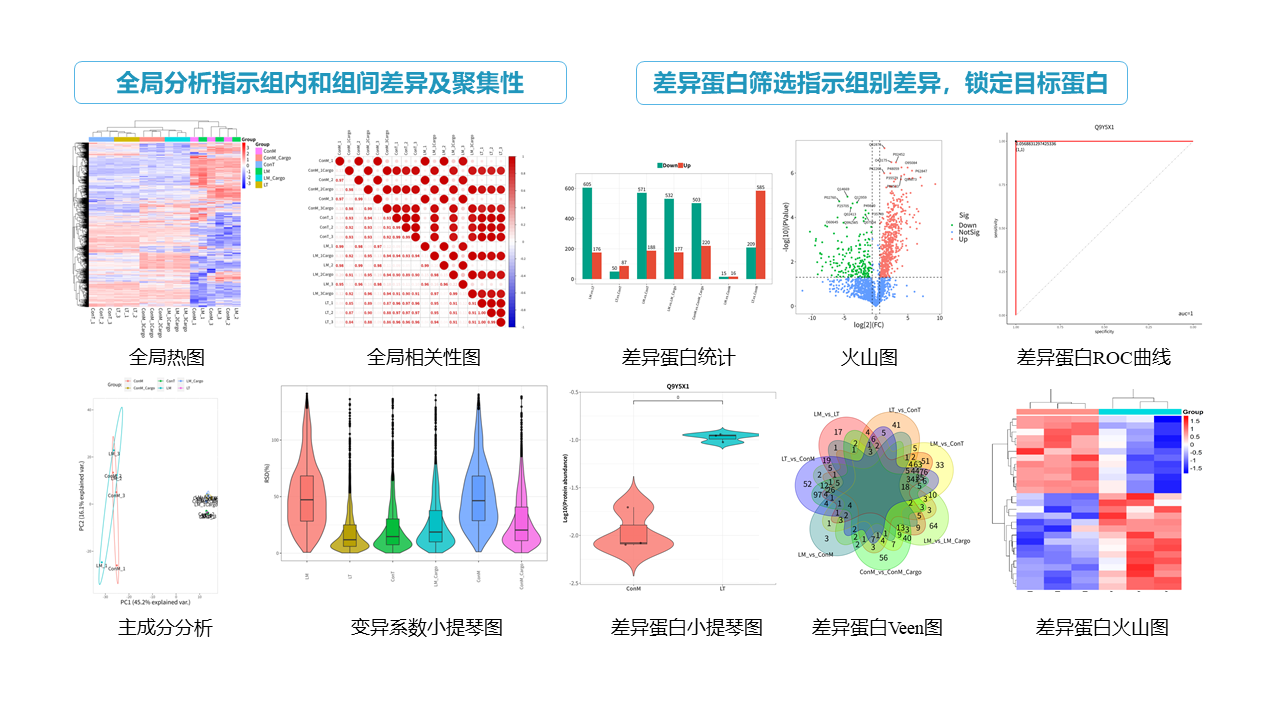 4D定量蛋白质组服务