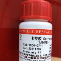 促黄体生成激素（LH）