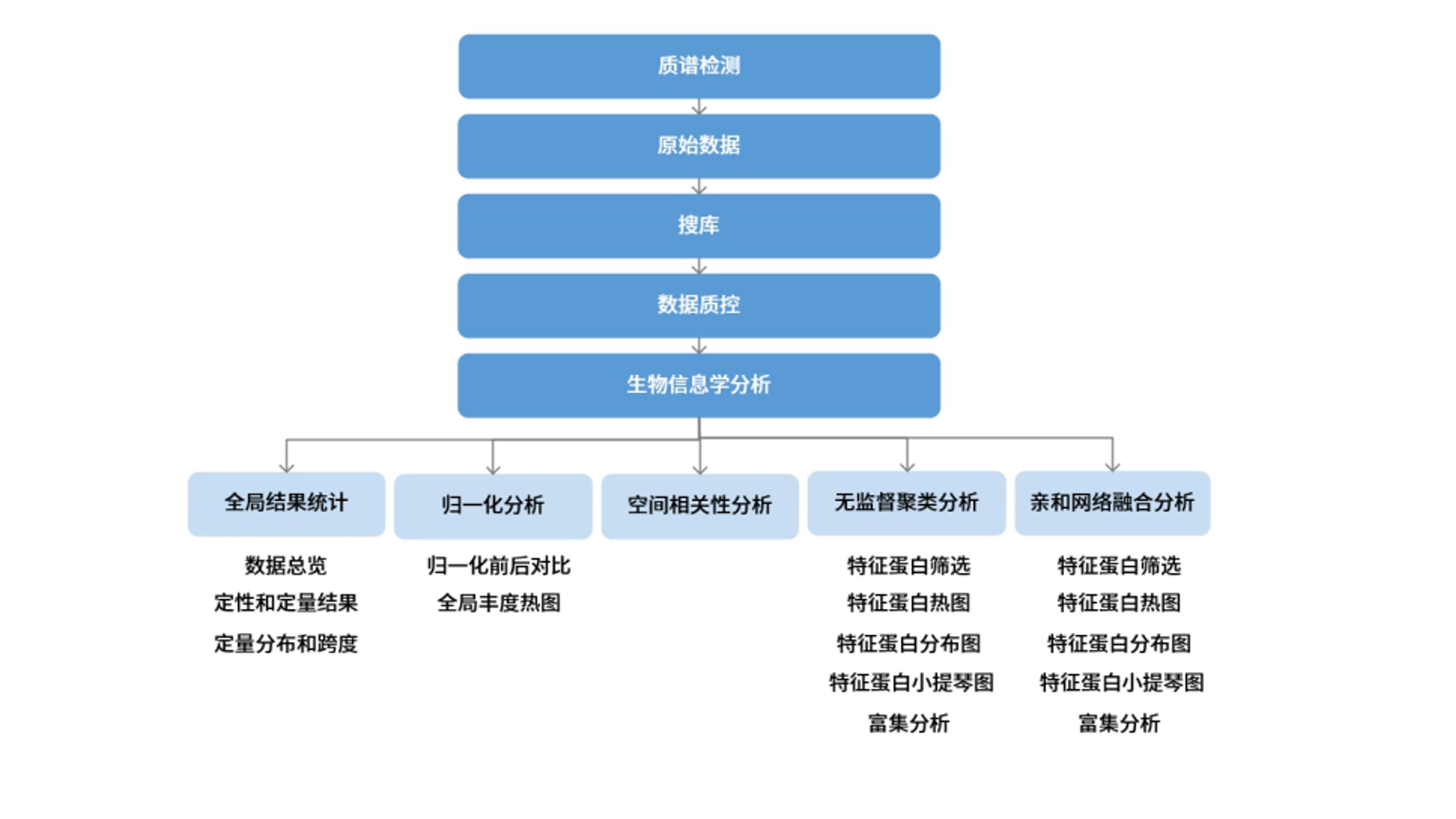 全息空间蛋白质组学