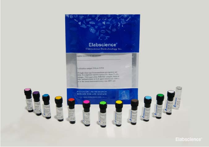 实验质控好帮手！Elabscience PE 标记大鼠IgG2b, κ同型对照[LTF-2]，为 FCM 实验精准护航