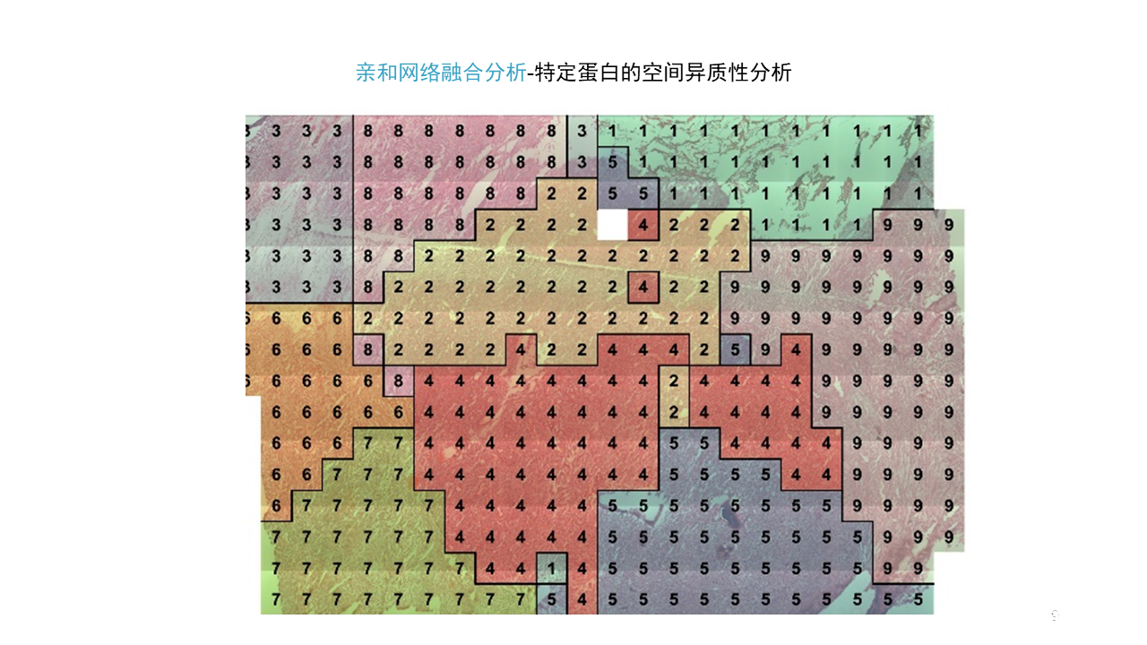 全息空间蛋白质组学