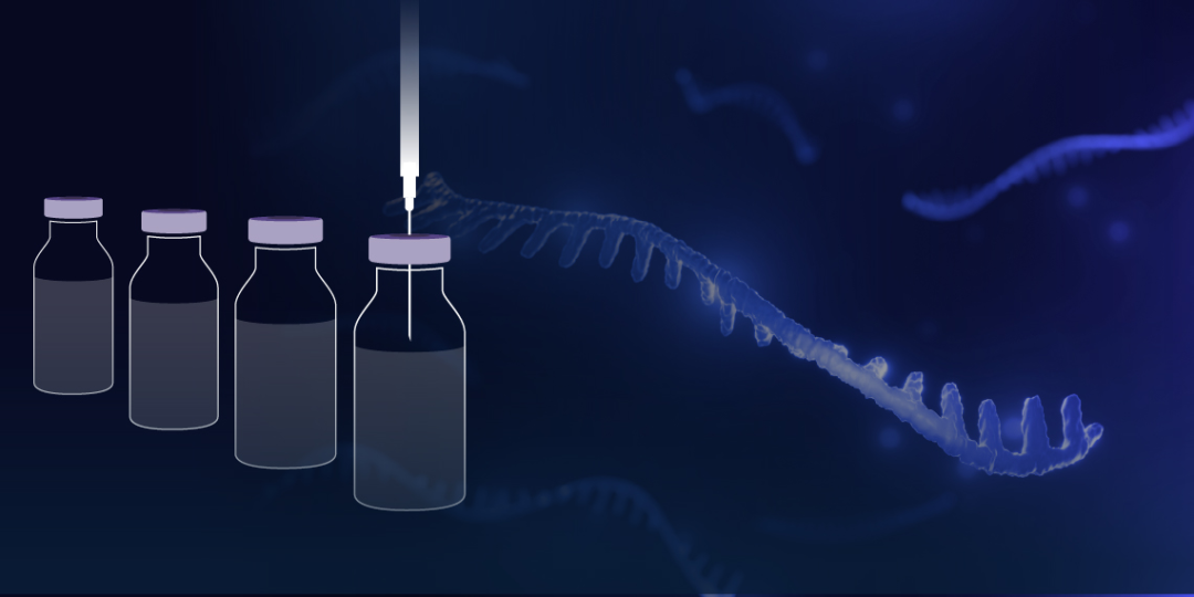 从实验室到临床：合成生物学工程平台助力siRNA疗法突破