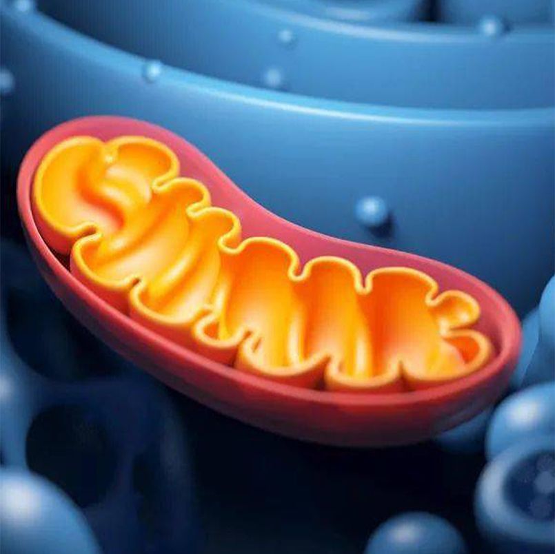 乳酸化蛋白质组学服务