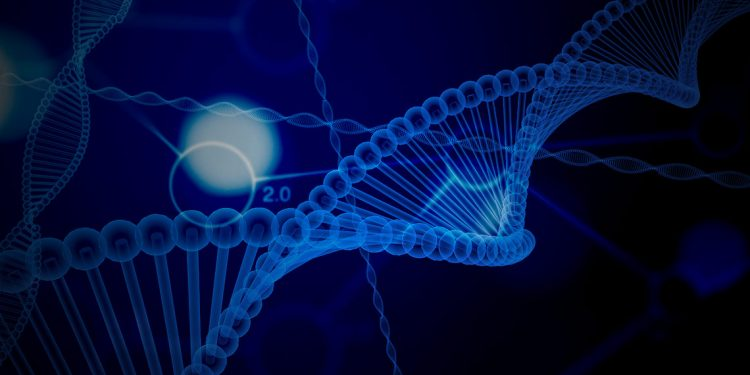 唐氏综合症大脑中促进氧化应激