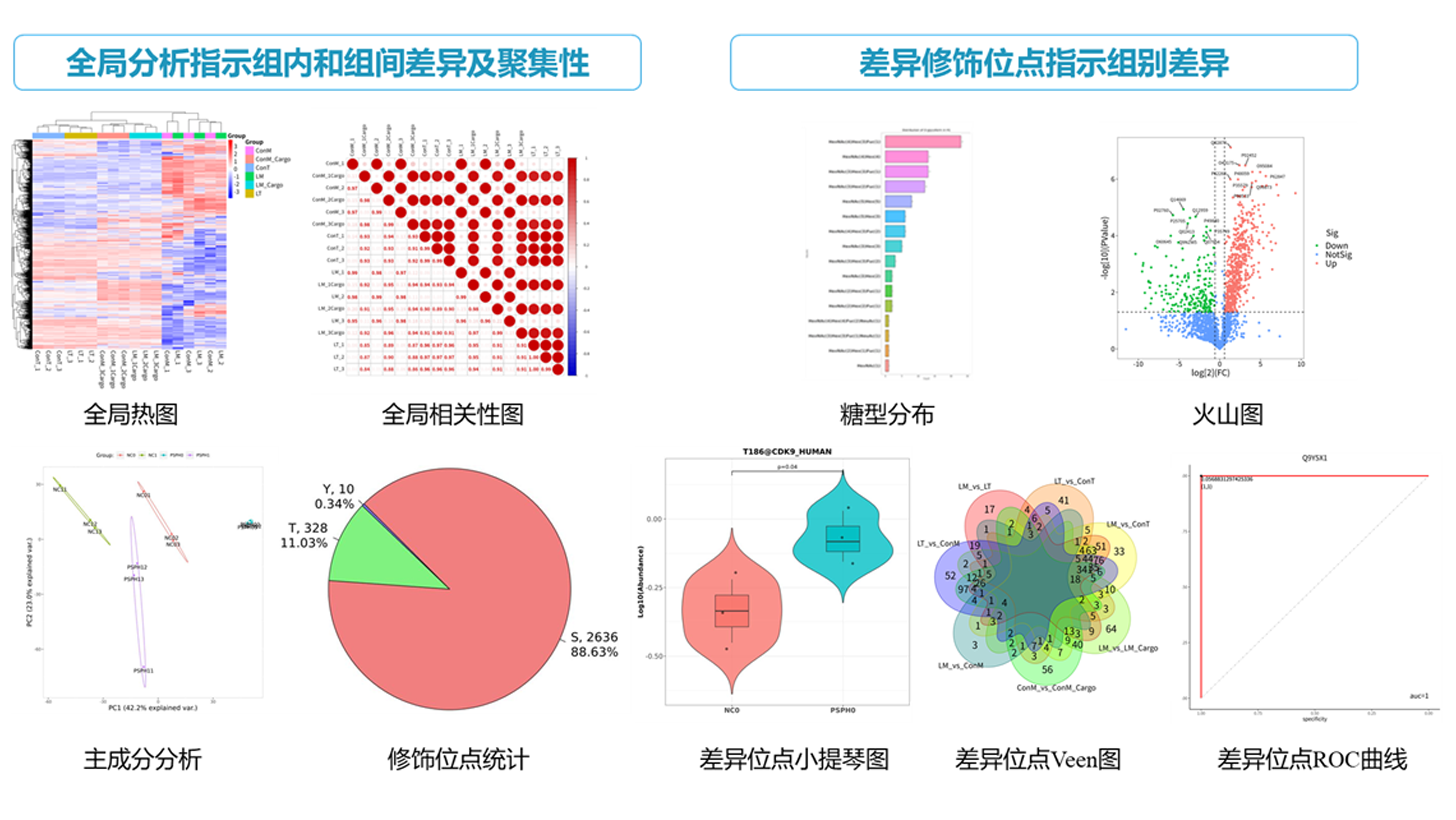 糖基化蛋白质组学服务