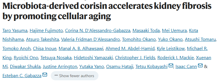 【2025年8月文献战报】Bioss 抗体新增高分文献精彩呈现