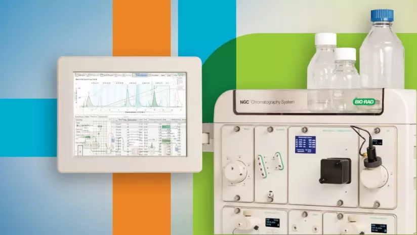 冷冻电镜揭示细胞色素c生物合成和血红素运输基础
