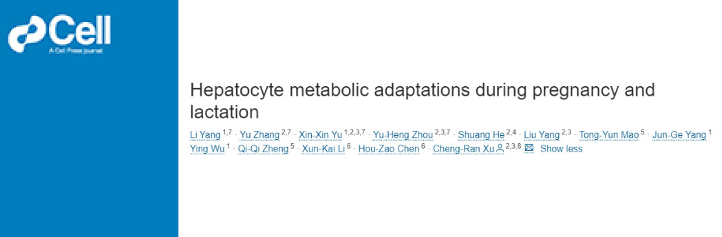 【2025年8月文献战报】Bioss 抗体新增高分文献精彩呈现