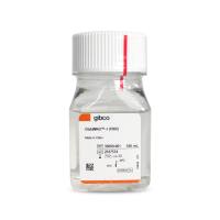 Gibco 35050-061 GlutaMAX 添加剂(100X)