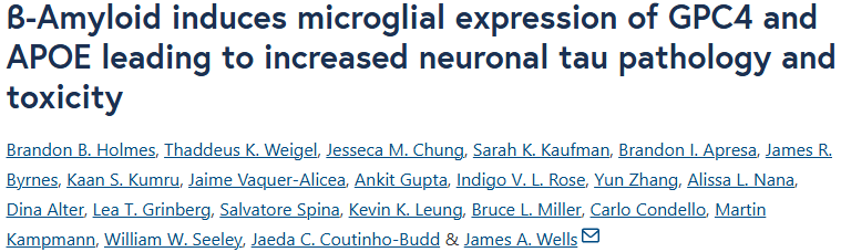【2025年8月文献战报】Bioss 抗体新增高分文献精彩呈现