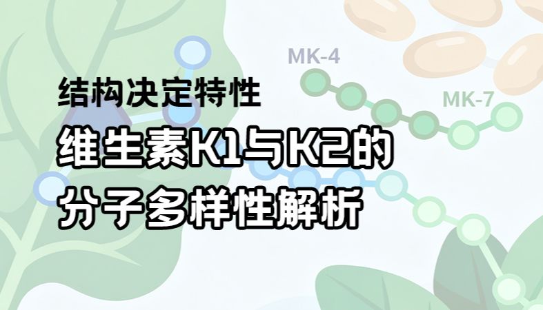 【魏氏试剂】结构决定特性：维生素K1与K2的分子多样性解析