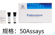 【Elabscience 限时特惠】细胞研究必备试剂盒超值放送