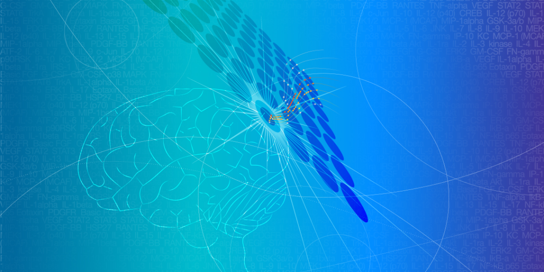 环状RNA调节大脑功能及行为