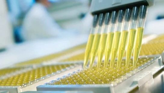 酶联免疫的“信号魔术”：ELISA技术原理简析