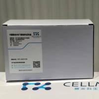 兔B细胞扩增试剂盒