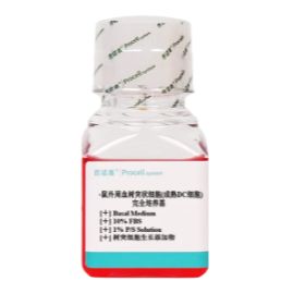 小鼠外周血树突状细胞(DC细胞)完全培养基