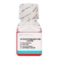 小鼠外周血树突状细胞(DC细胞)完全培养基