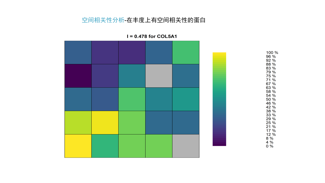 全息空间蛋白质组学