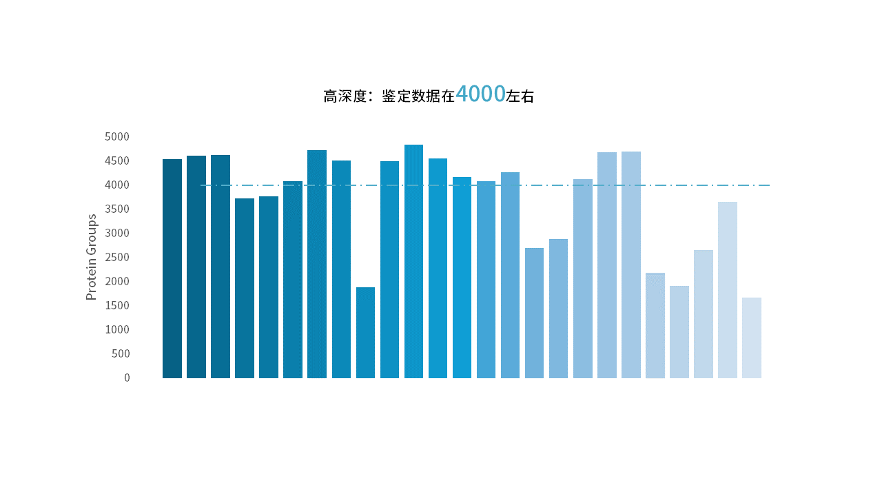 全息空间蛋白质组学