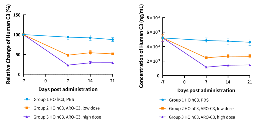 解锁小核酸药物靶点：开启精准医疗新蓝海