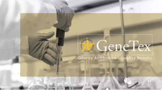GeneTex品牌介绍 GeneTex品牌介绍
